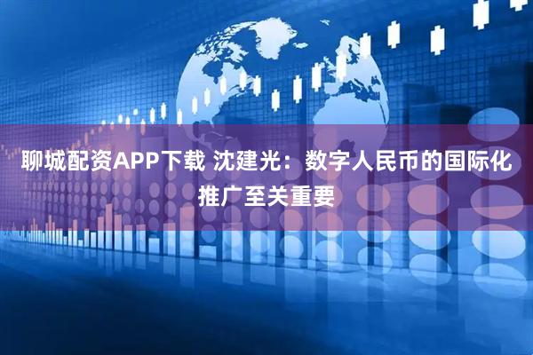 聊城配资APP下载 沈建光：数字人民币的国际化推广至关重要